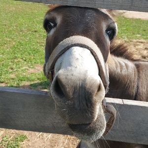 Meet your Posher, Stacy